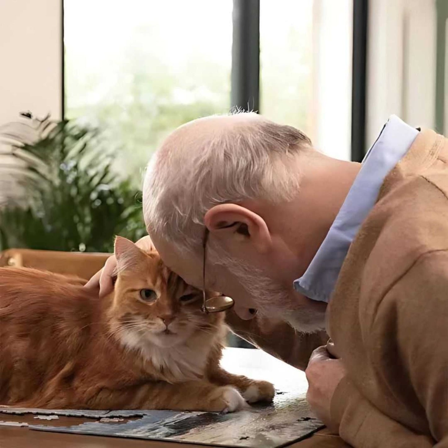 Pro Nutrition Prestige Kitten Cat Dry Food - 2Kg