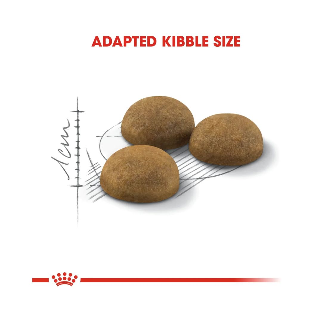 Royal Canin Feline Health Indoor Long Hair Cat Dry food 2kg