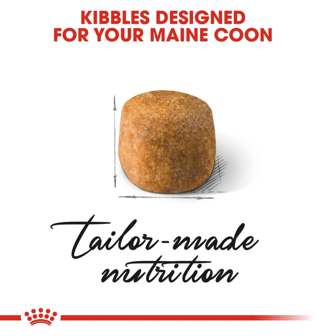 Royal Canin Feline Breed Nutrition Maine Coon Adult Cat Dry food 2kg