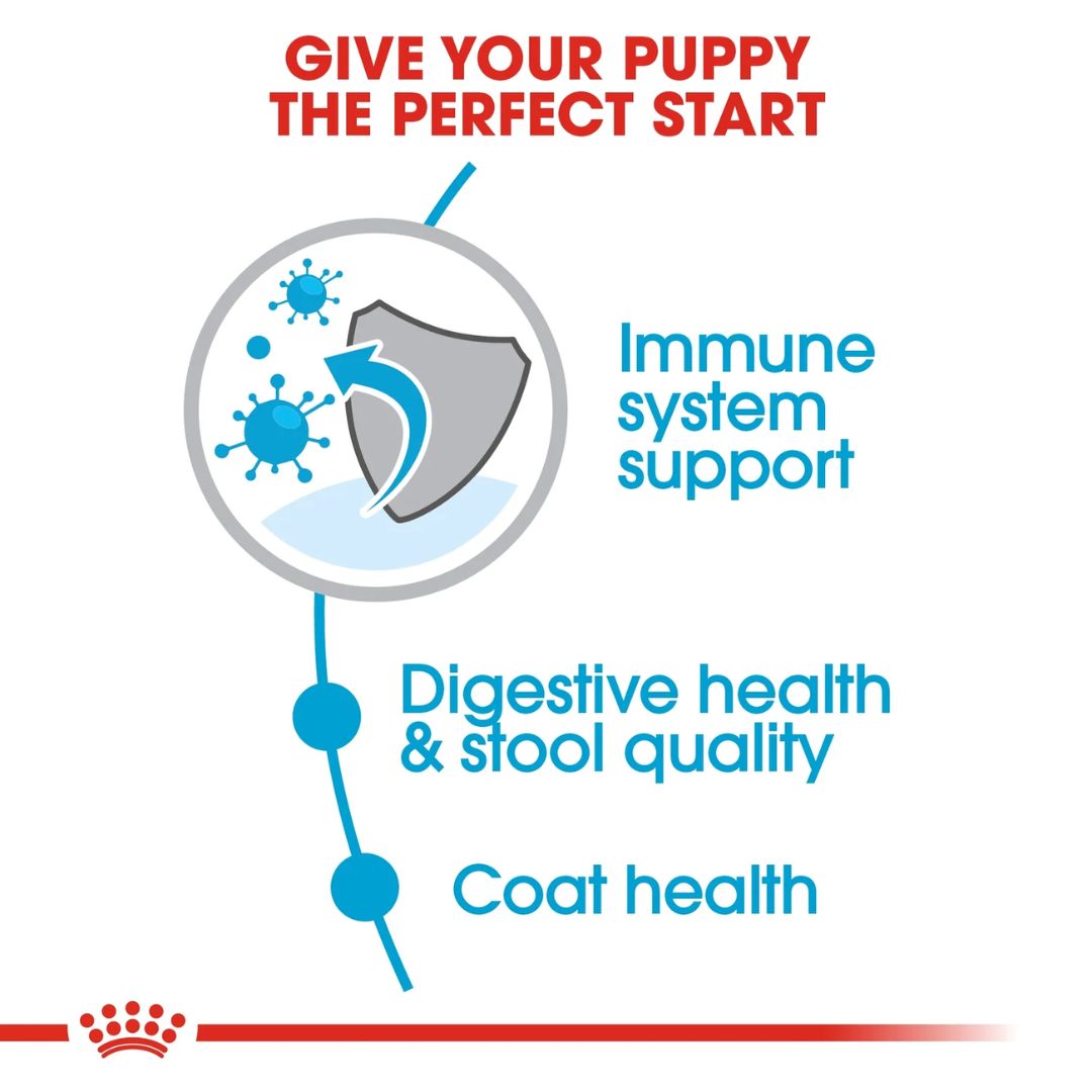 Royal Canin Size Health Mini Indoor Puppy Dry Food 1.5kg