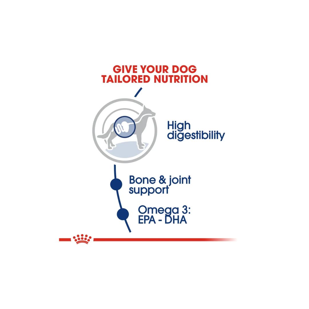 Royal Canin Size Health Maxi Adult Dry Dog food 4kg