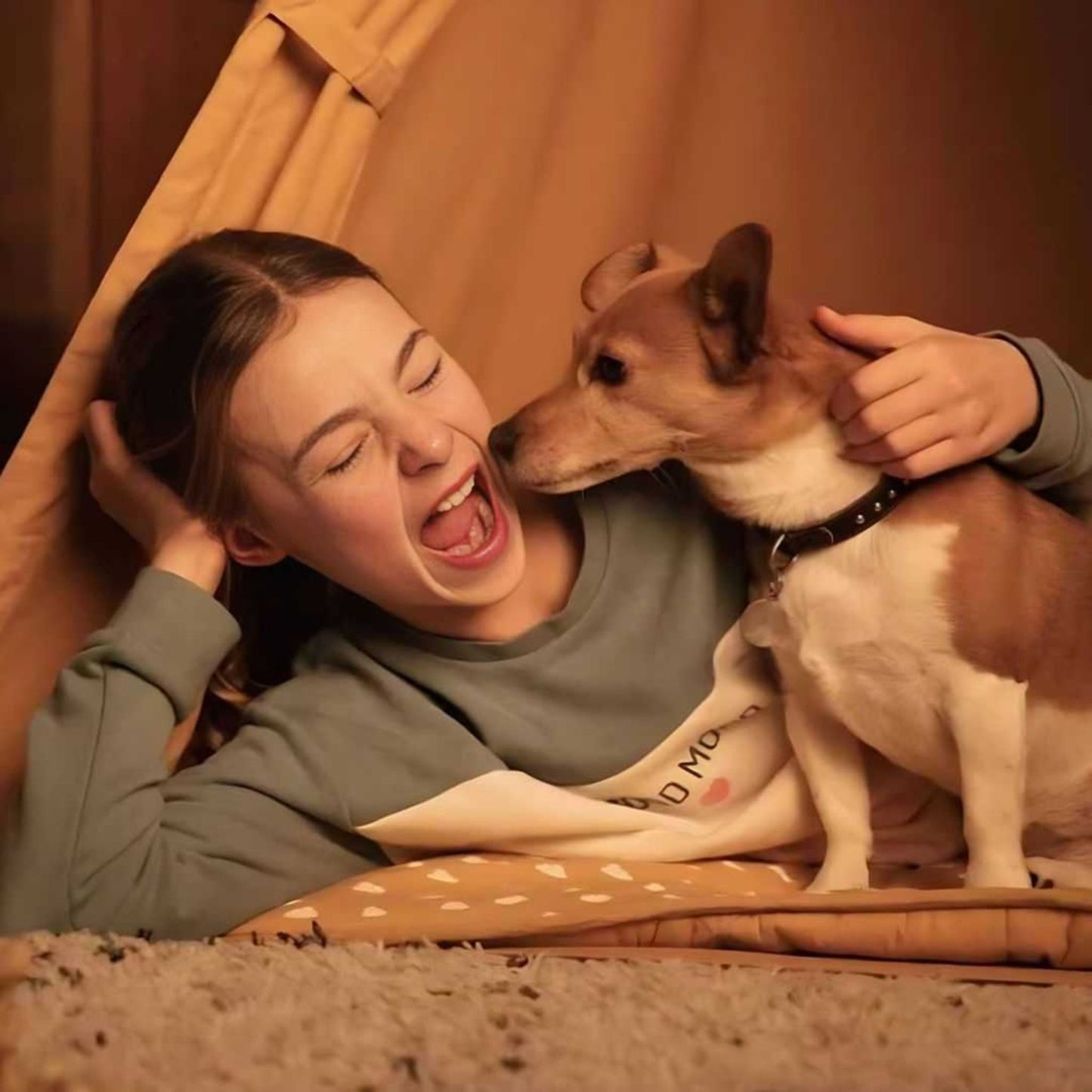 Pro Nutrition Prestige Adult Mini Breed Dry Dog Food - 3kg