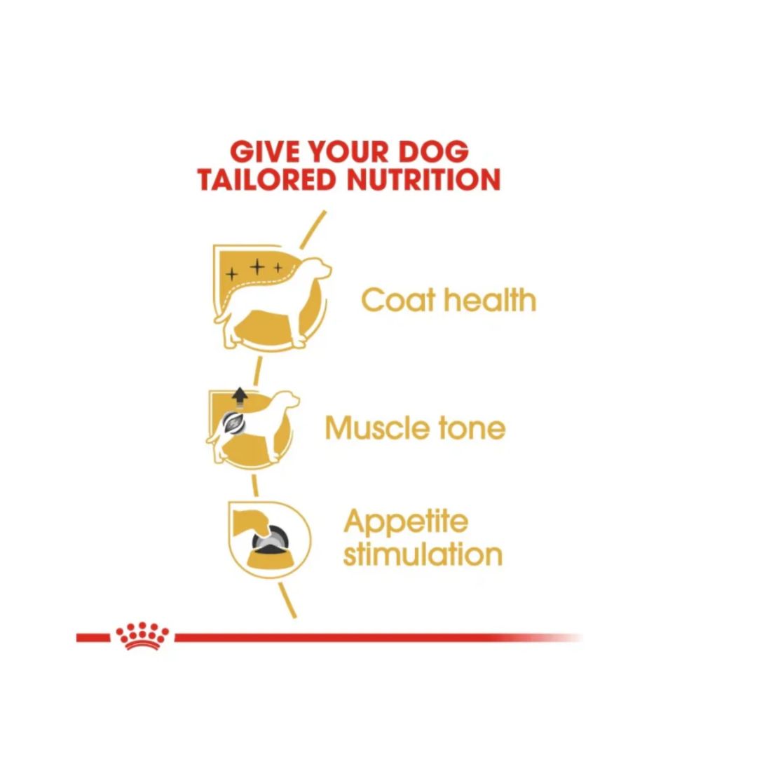 Royal Canin Breed Health Nutrition Poodle Adult (WET FOOD)