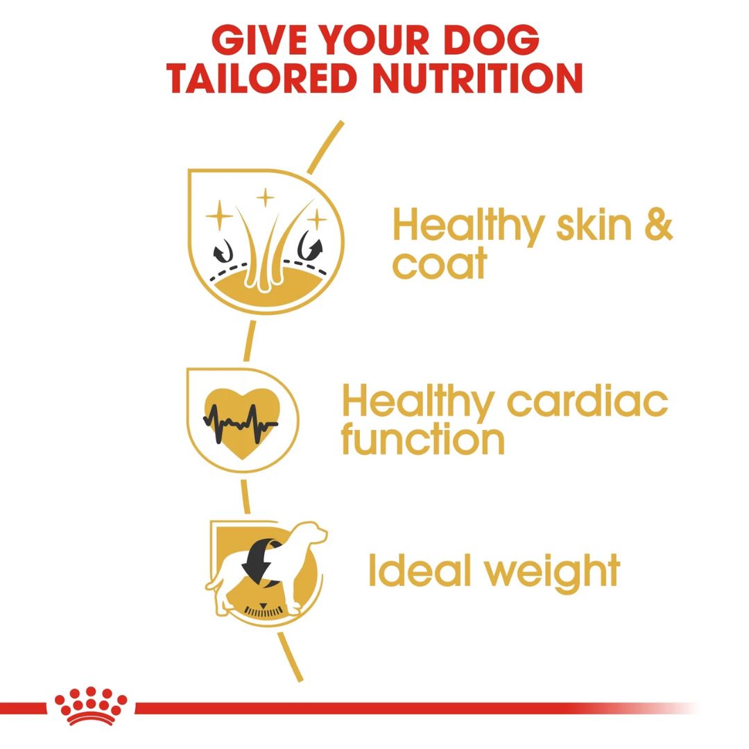 Royal Canin Breed Health Nutrition Golden Retriever Adult Dry food 12kg