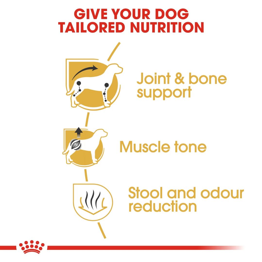 Royal Canin Breed Health Nutrition Dachshund Adult Dry food 1.5kg