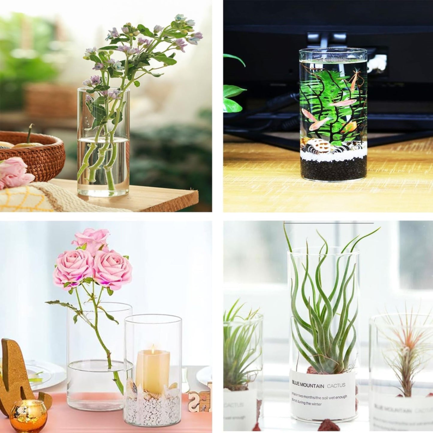 Collage of various containers with plants and flowers.