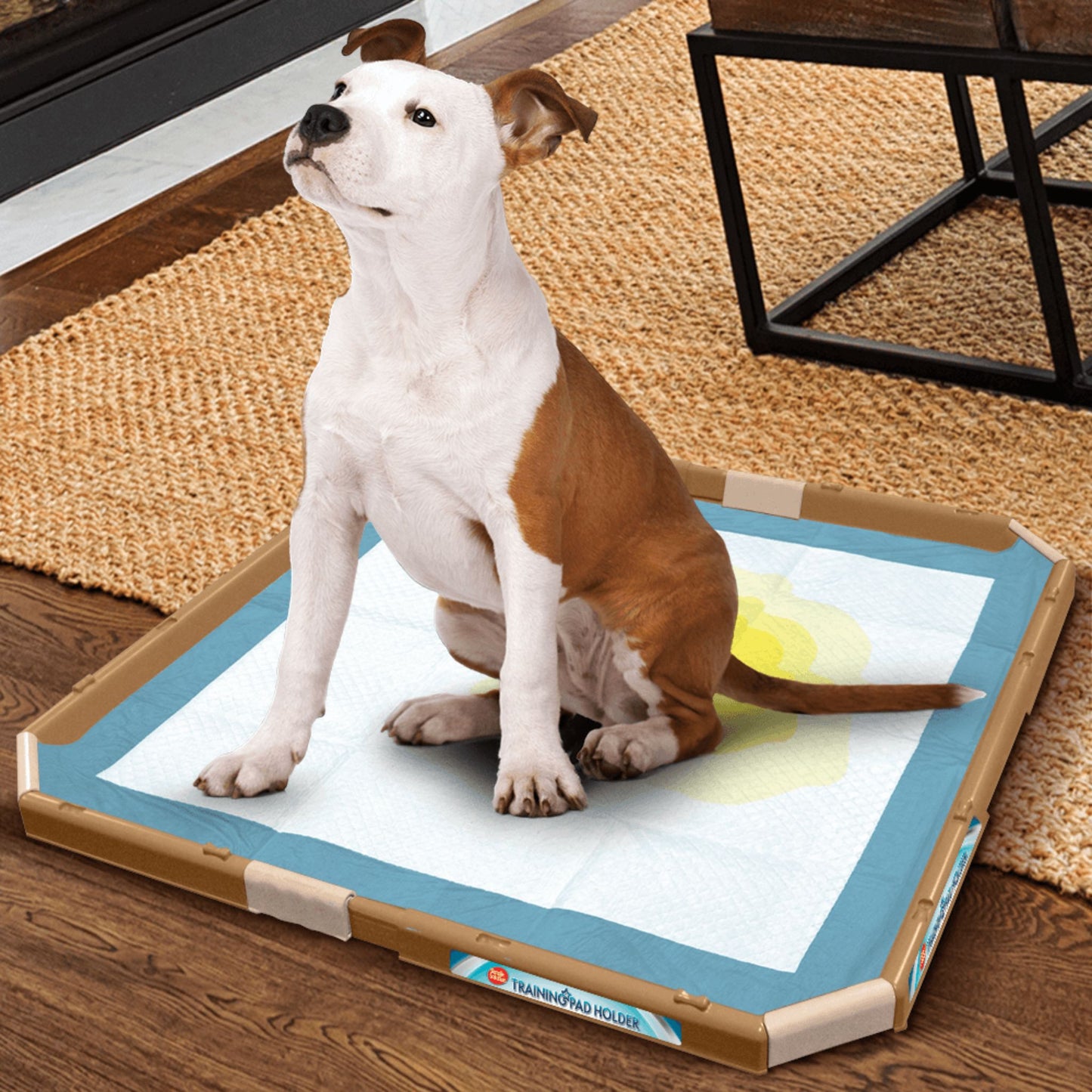 Dog sitting on a training pad with a visible wet spot on a wooden floor.
