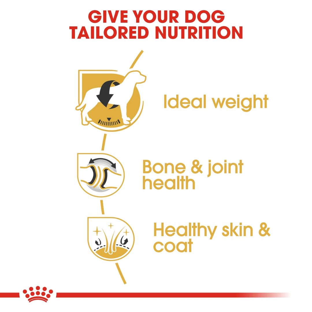 Royal Canin Breed Health Nutrition Labrador Adult Dry food 12kg