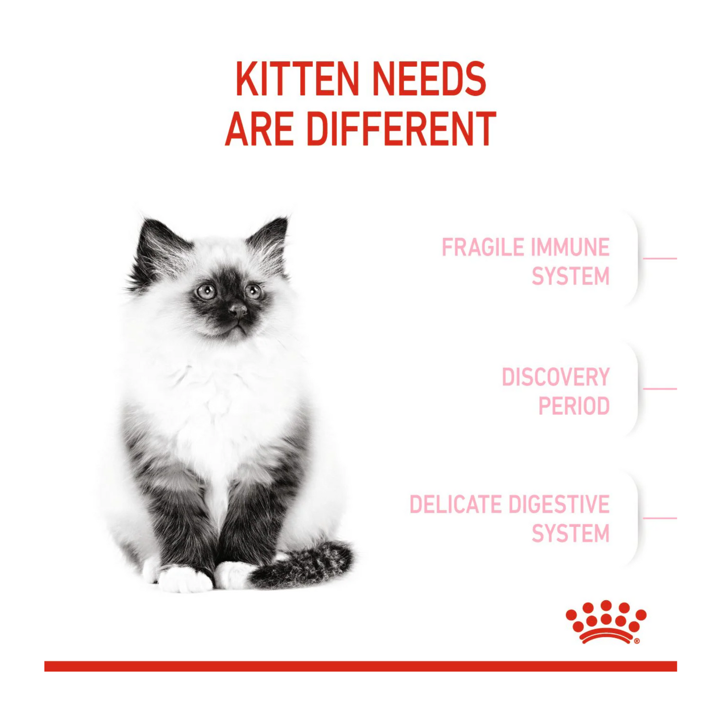 Royal Canin Feline Health Kitten Dry food 2kg