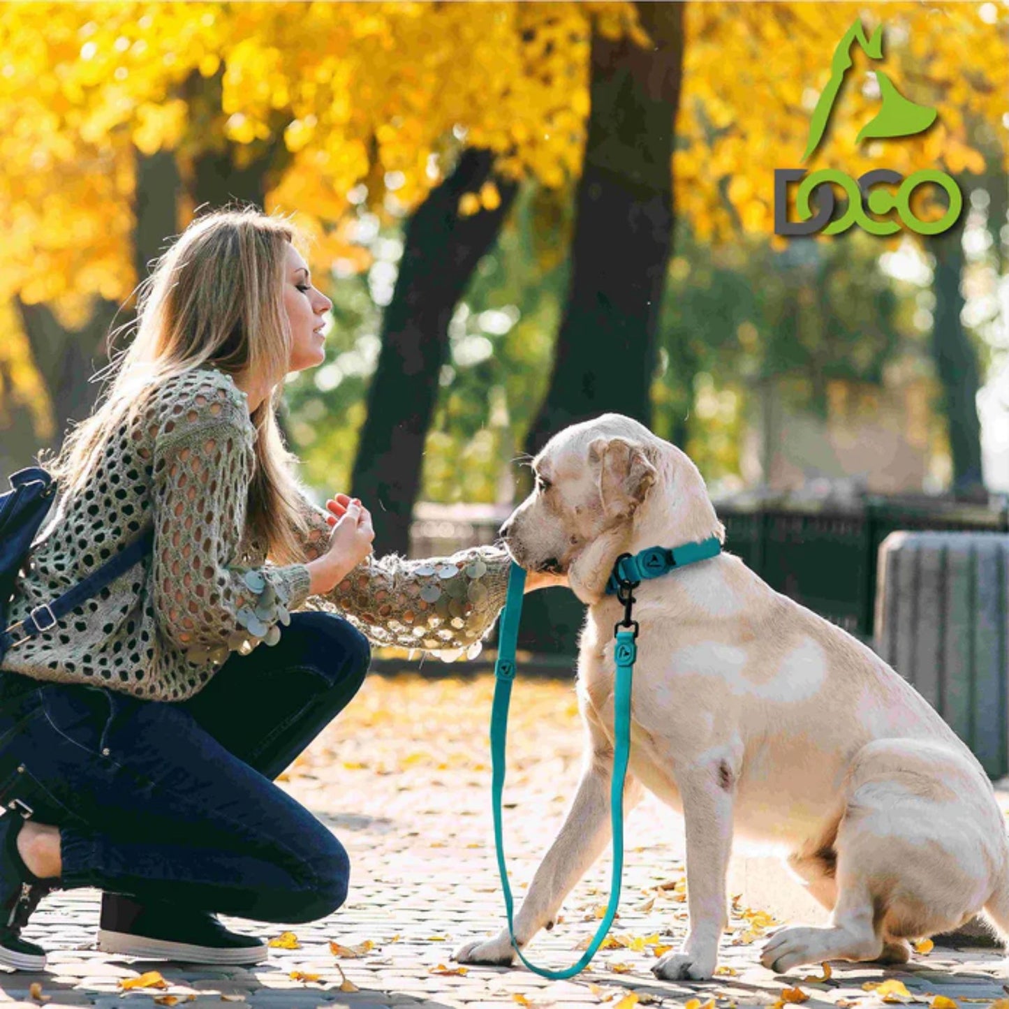 Doco Jelly Bean Dog Leash - 6Ft