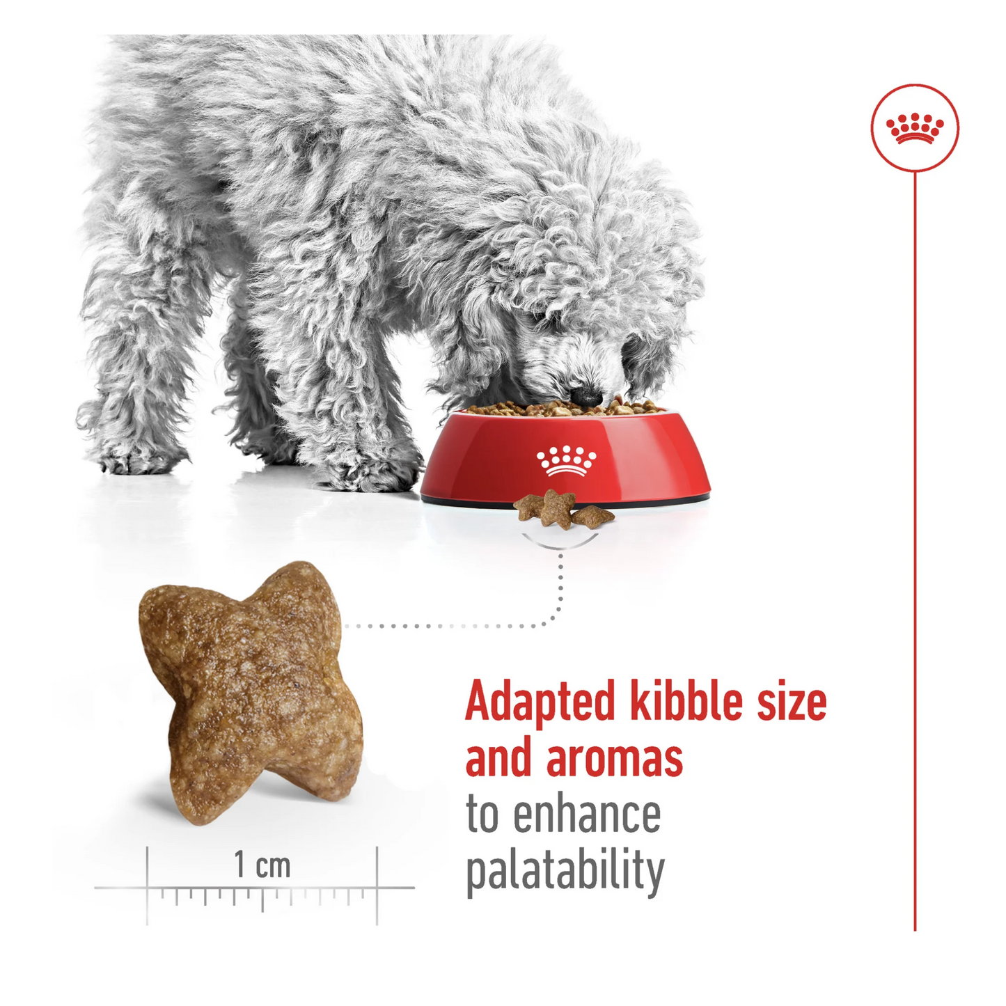 Royal Canin Size Health Mini Adult Dry Dog Food 2kg