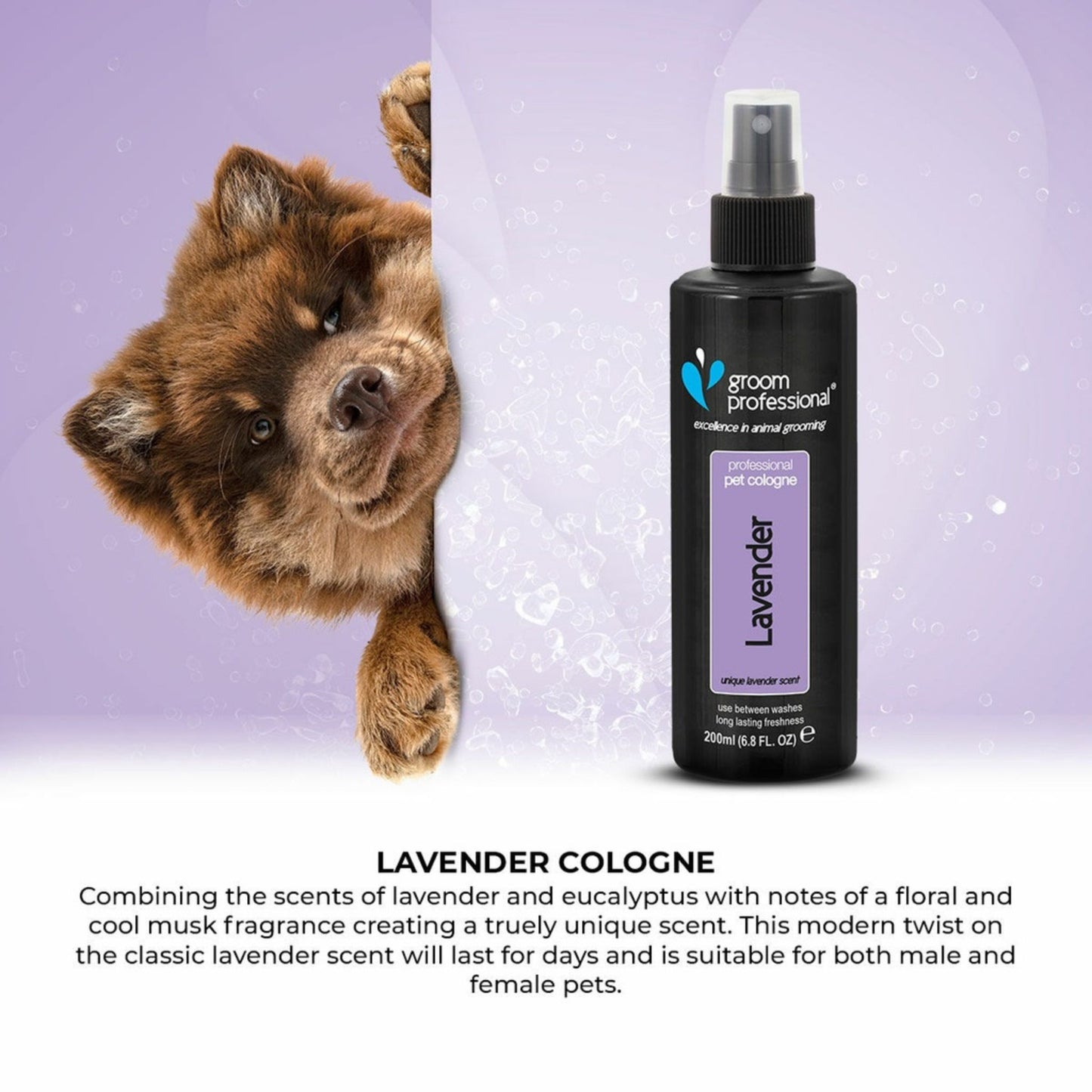 Bottle of lavender cologne for pets with a dog peeking from behind on a purple background