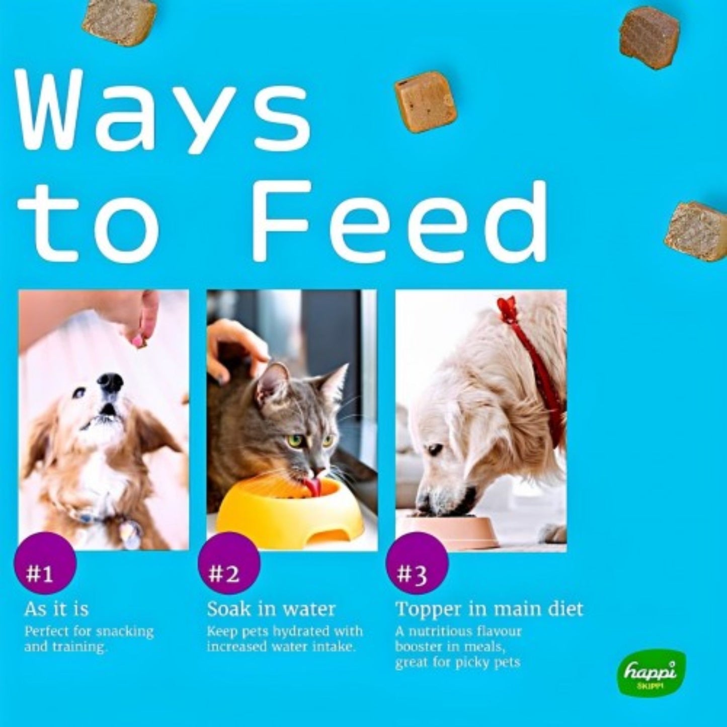 Promotional graphic for 'Ways to Feed' with images of pets and text on a blue background.