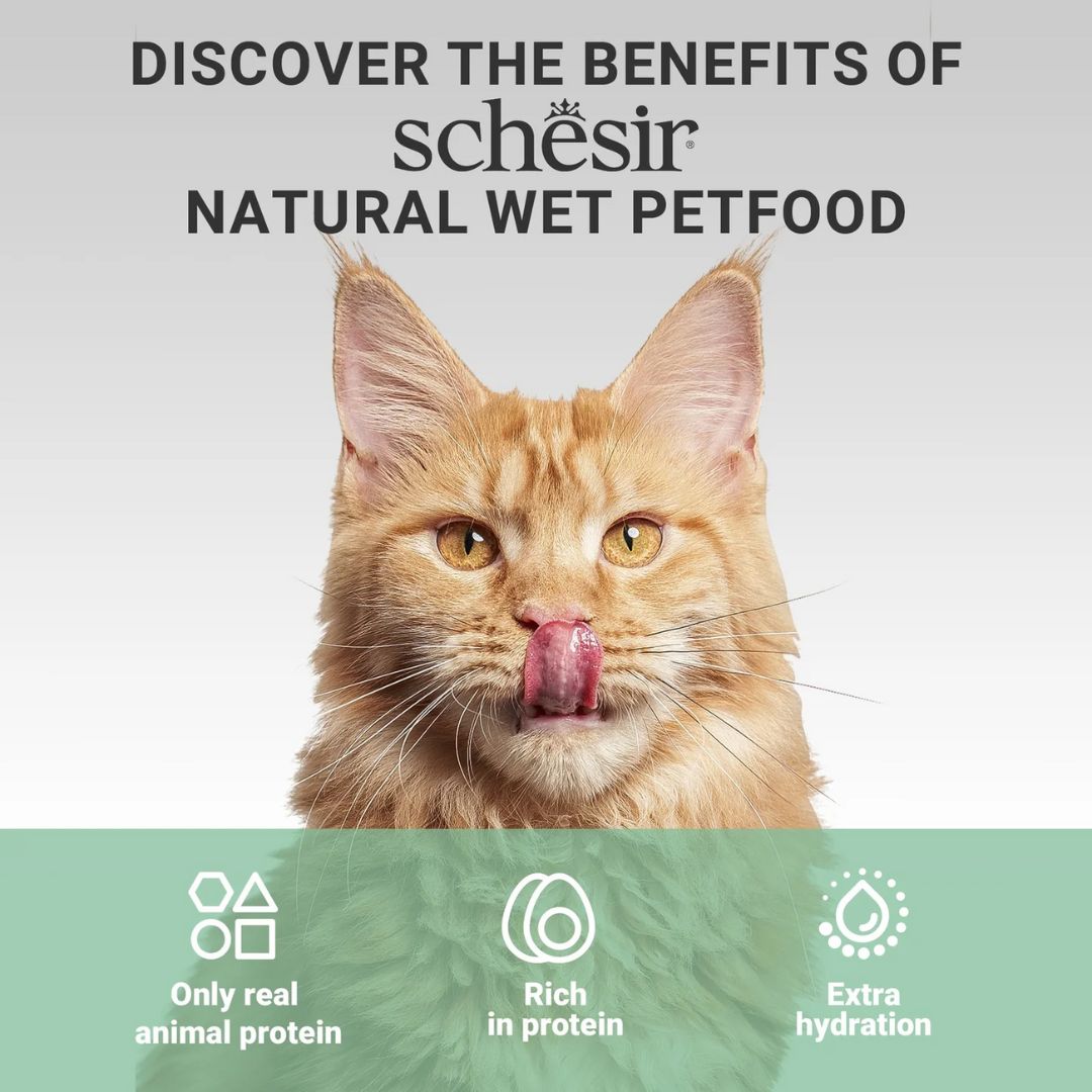 Schesir Complements Cat Wet Food in Jelly Can- Tuna 70g