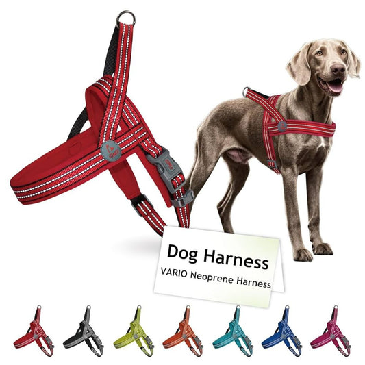 Doco Vario Neoprene Harness Reflective (Dcv201)