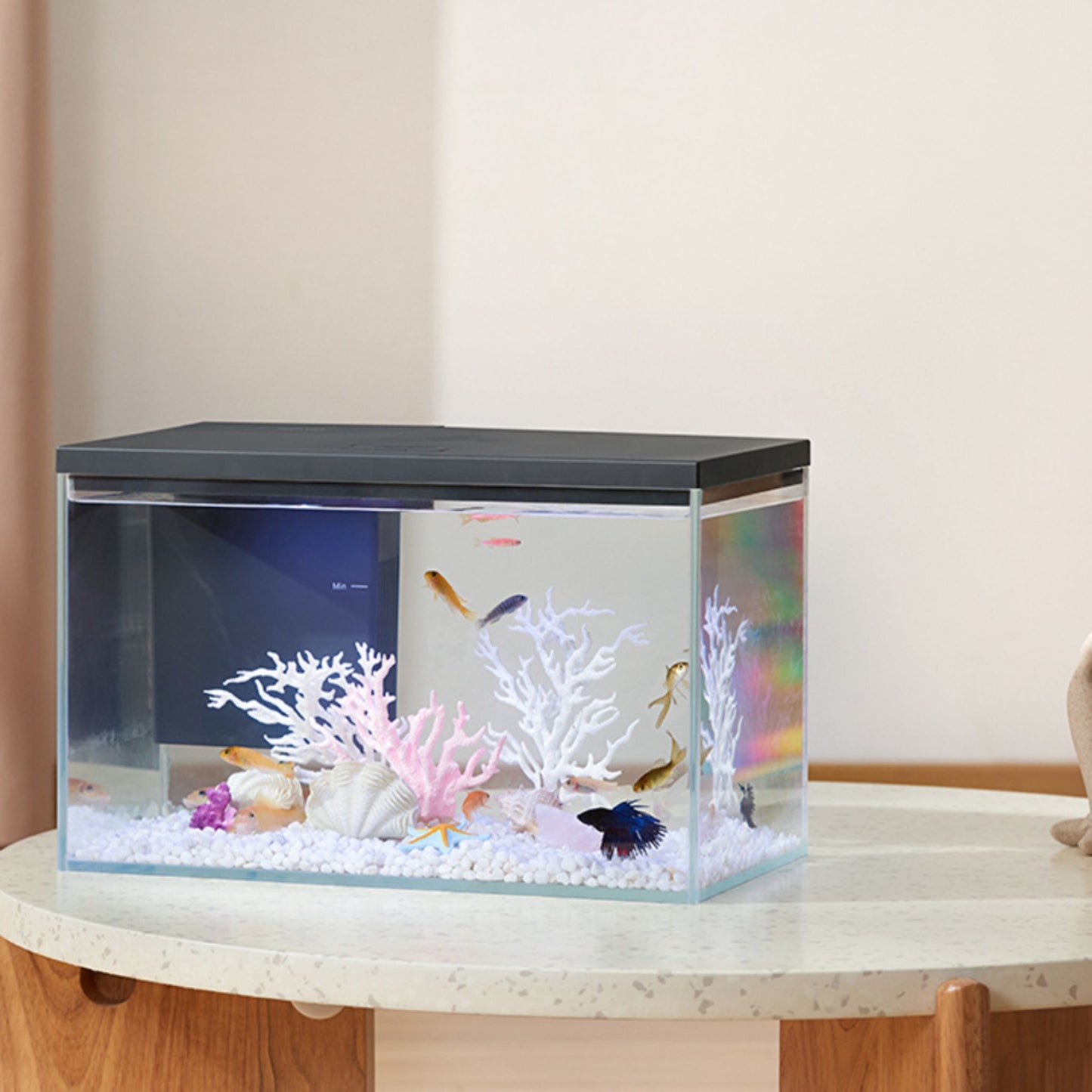 Fish tank with decorative elements on a table
