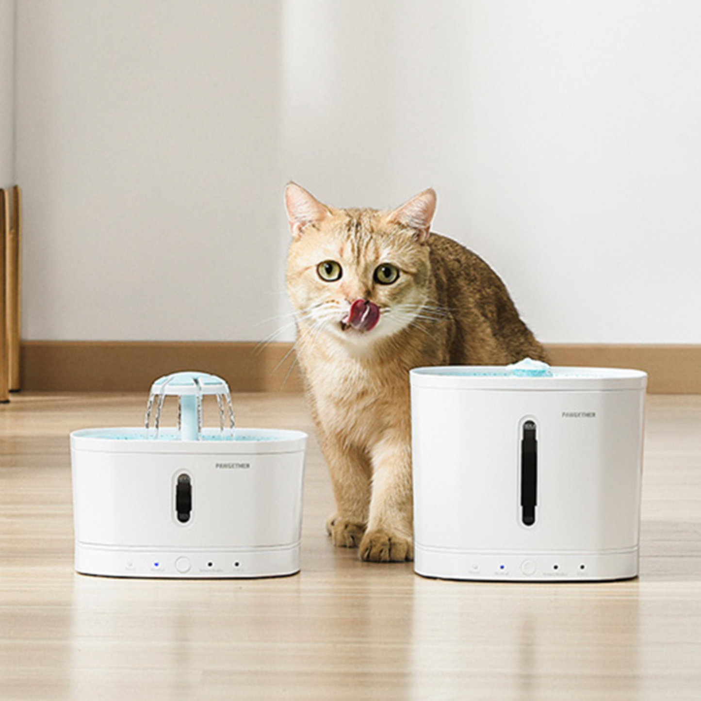 Pawgether Smart Pet Water Fountain - 183x183x158mm