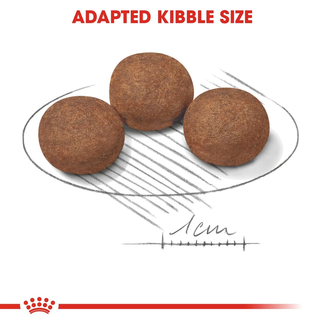 Royal Canin Size Health Medium Puppy Dry food 4kg
