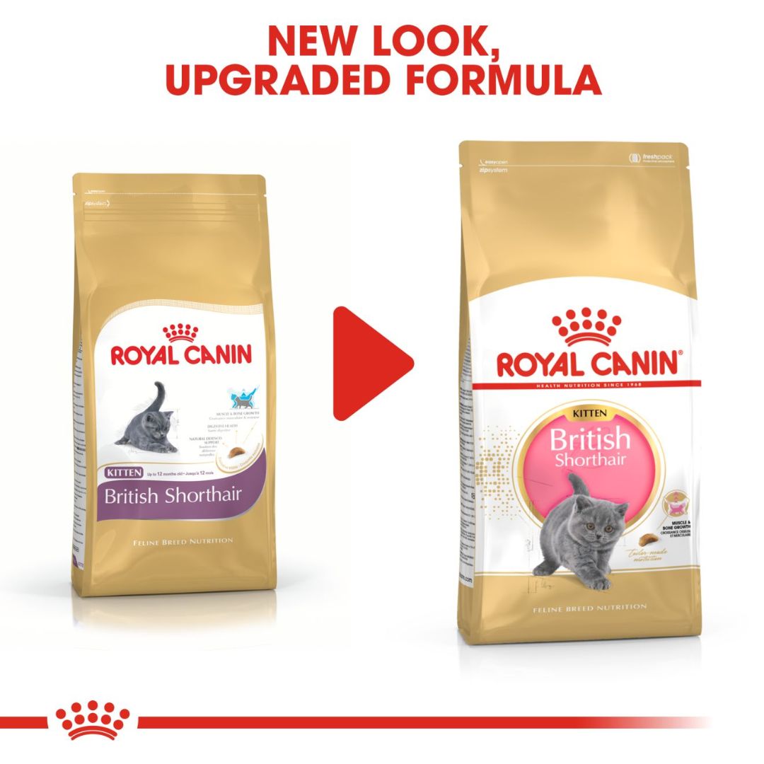 Royal Canin Feline Breed Nutrition British Shorthair Kitten Dry Food 2kg