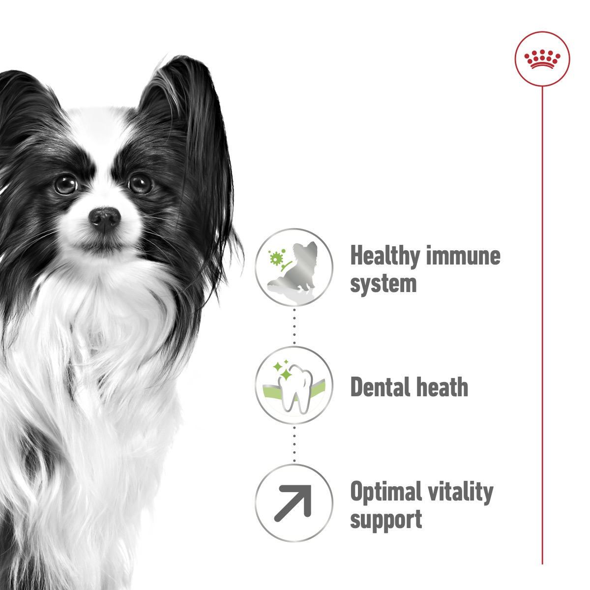 Royal Canin Size Health XS Adult 8+Dry Dog Food 1.5kg