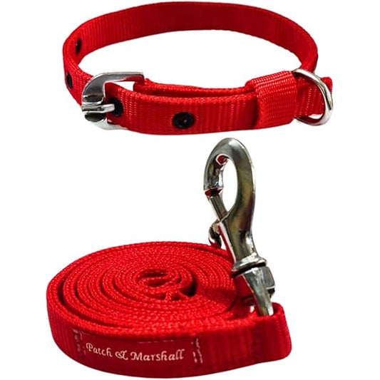 Petbroo Dog Lead 0.8 X 120Cm