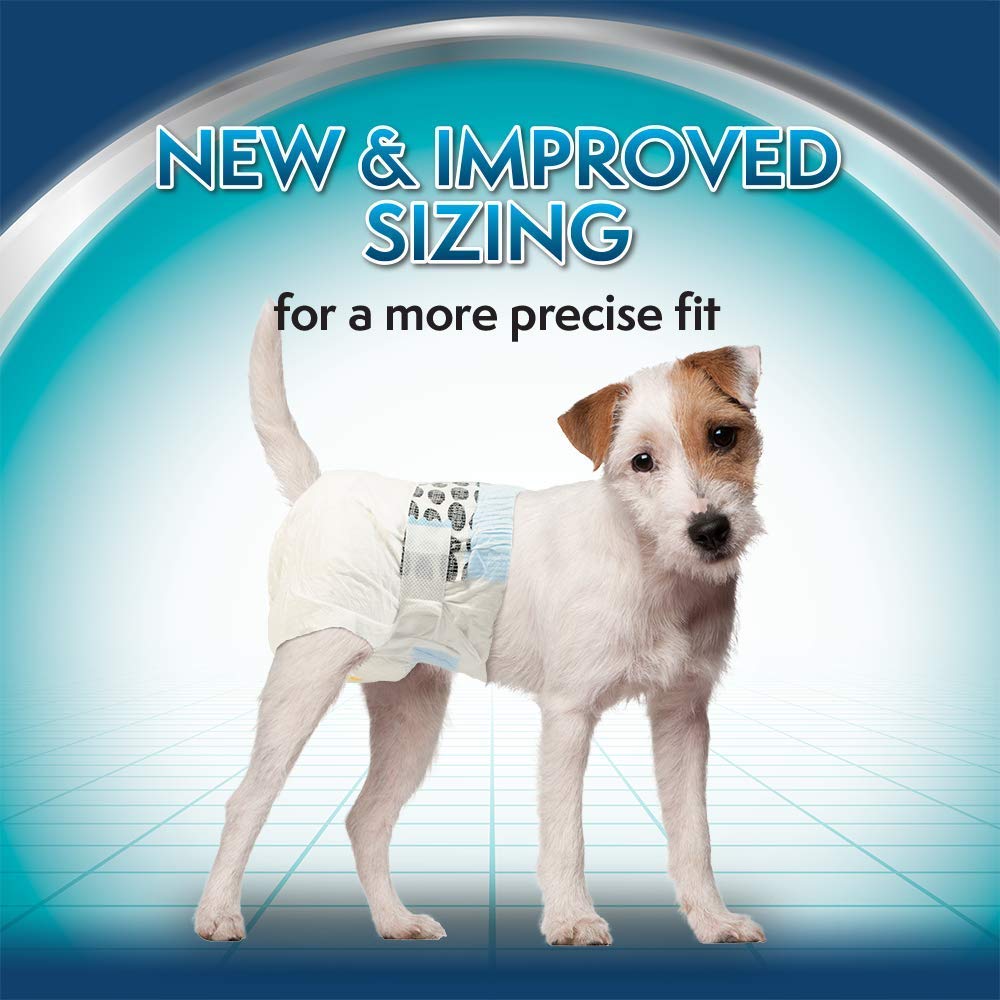 Simple Solution Disposable Dog Diapers Small (5‚11kg) ‚ 12 Pack