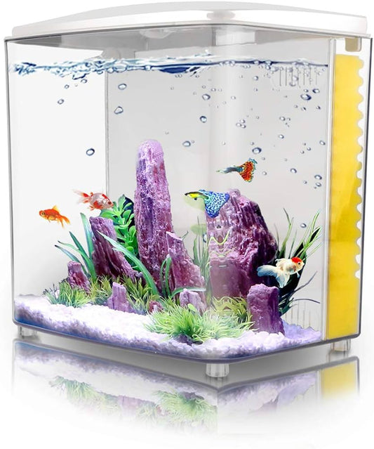 Aquabroo Aquare Betta Tank