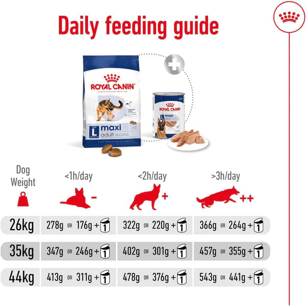 Royal Canin Maxi Adult Healthy Dry Dog Food