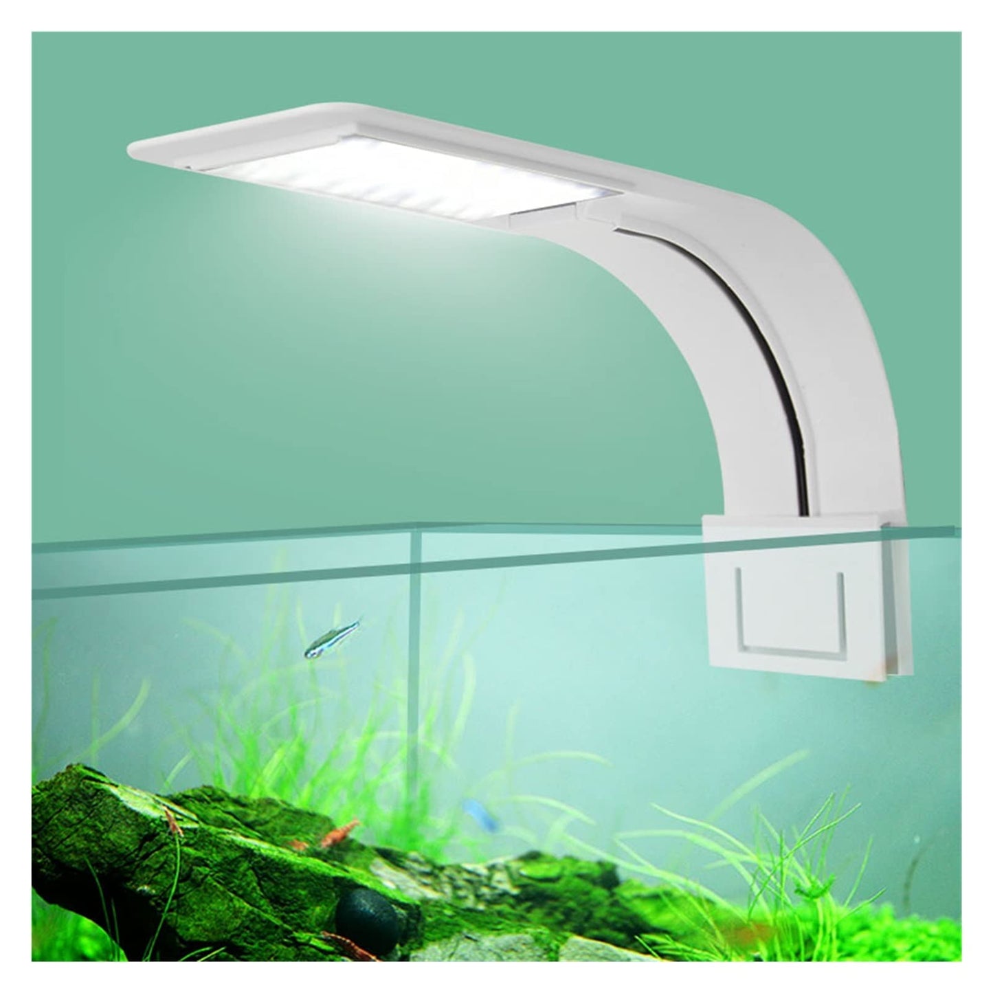 Roxin LED Top Light 10W – White & Blue, White Body Tank Light