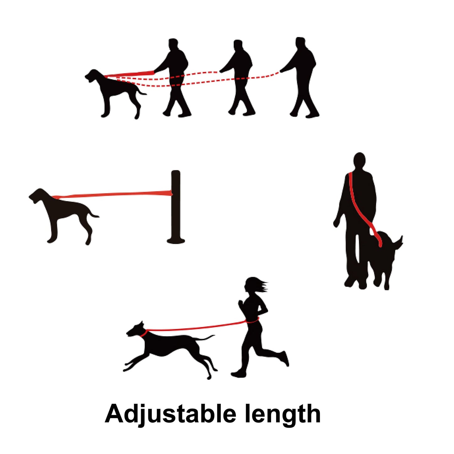Doco Vario Easy Snap Bungee Leash - 6Ft (Dcv2072)Color: Orange, Sizes: L