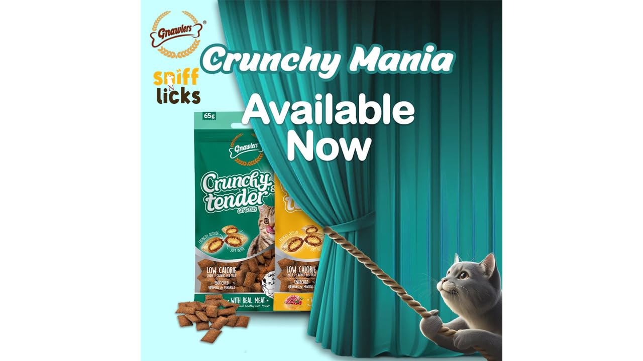 Gnawlers Crunchy & Tender Cat Treats – Chicken & Milk Flavor 65g