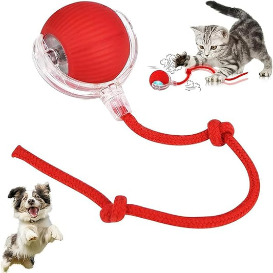 Petbroo Cat Toy Ball Wands Pb22031040