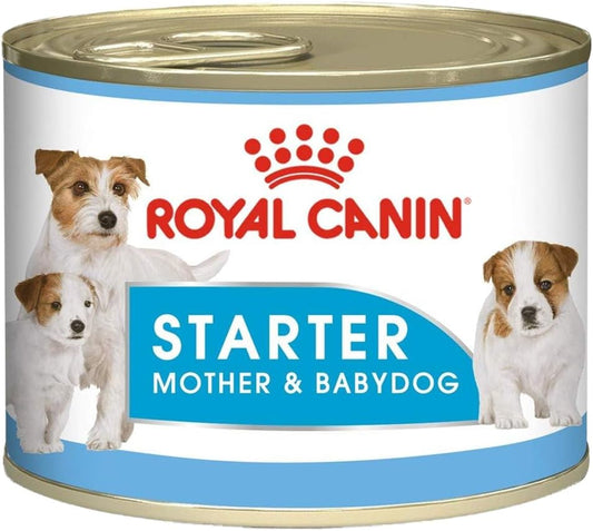 Royal Canin Canine Health Nutrition Starter Mousse (WET FOOD)