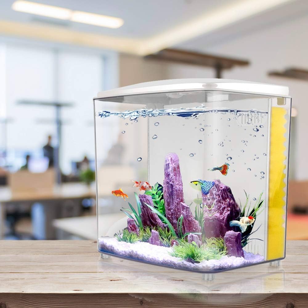 Aquabroo Aquare Betta Tank