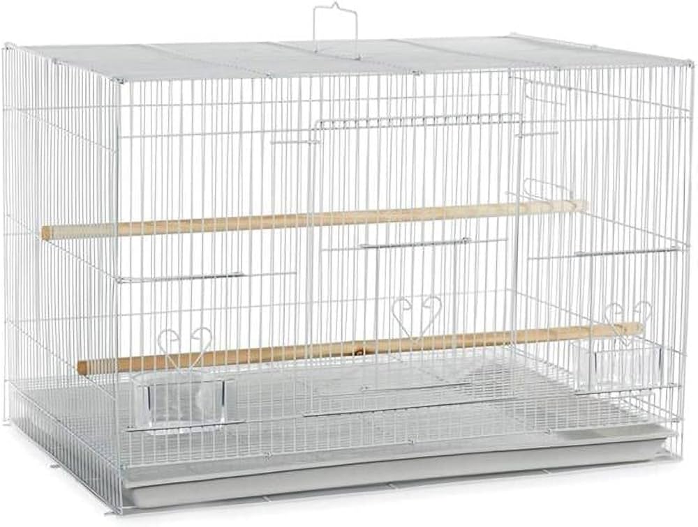 Dayang Bird Cage Compact – 46x31x33cm,