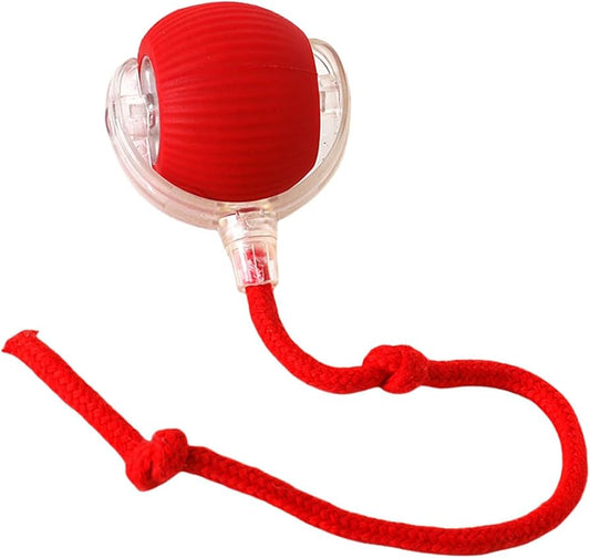 Petbroo Cat Toy Roller Ball Pb84976