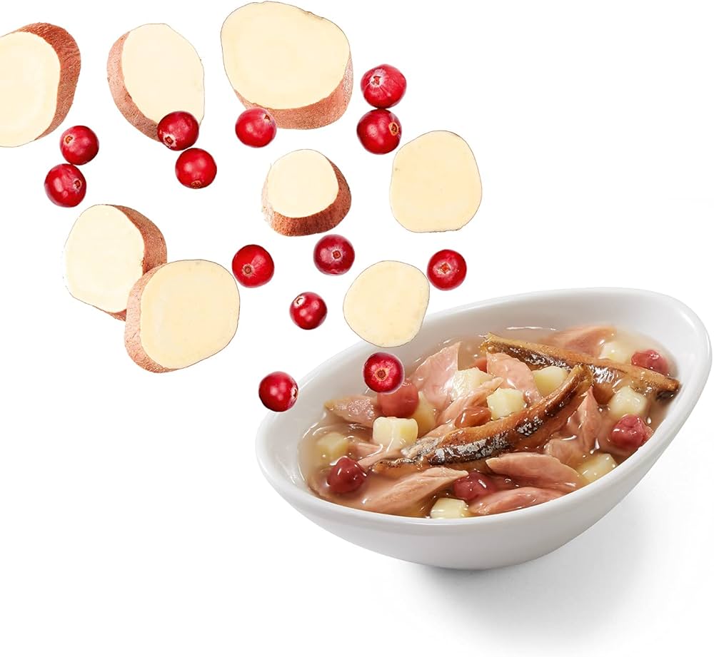 Schesir Salad Cat Wet Food Tuna And Anchovy With Sweet Potatoes And Cranberries -(Min Order 85G- 14Pcs)Weight: 85G