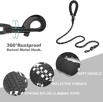 Doco Diamante Leash With Handle 4Ft (Dpn1048) - 2.5 X 120Cmcolor: Black, Sizes: L