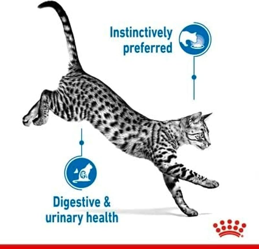 Feline Health Nutrition Indoor (Wet Food - Pouches)
