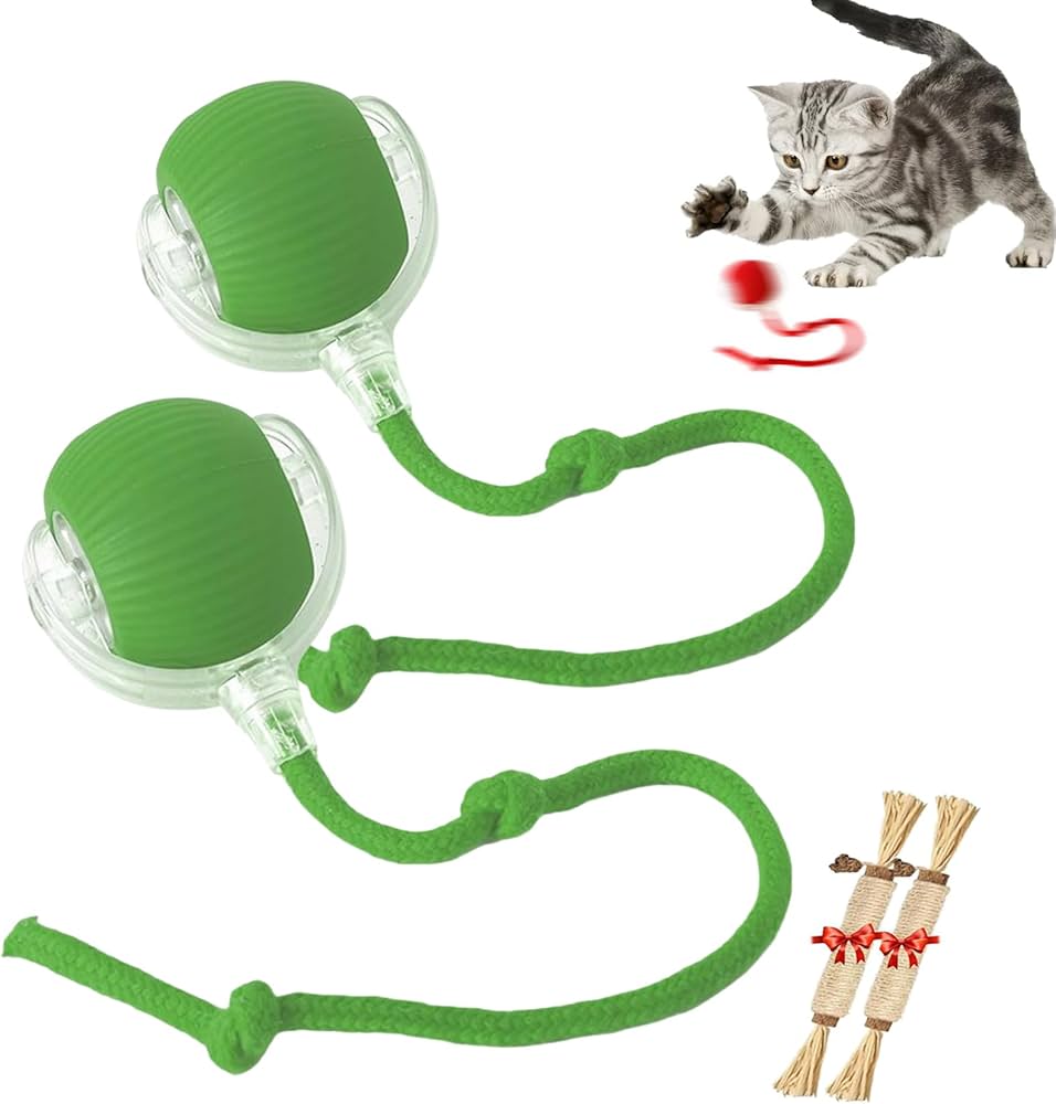 Petbroo Cat Toy Chase Ball Dogs & Cats