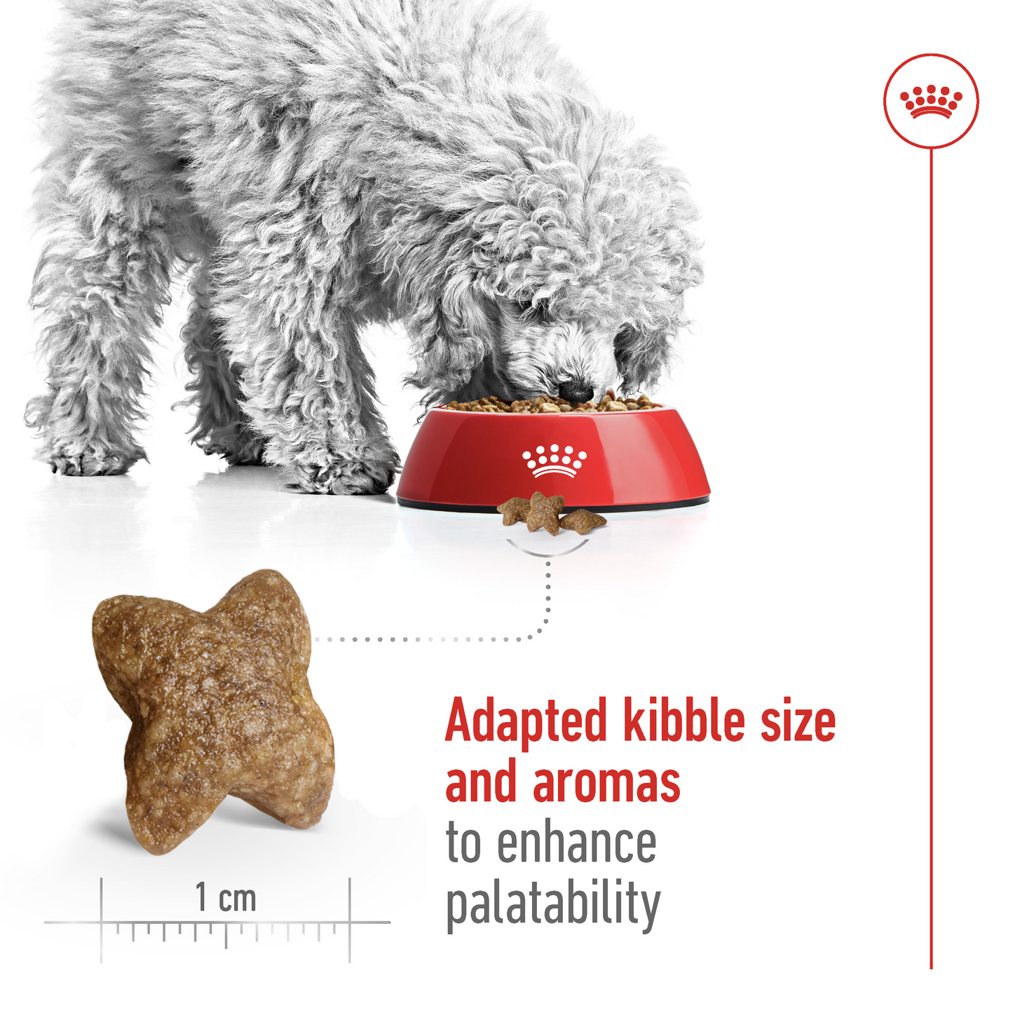 Royal Canin Size Health Mini Adult Dry Dog Food 2kg