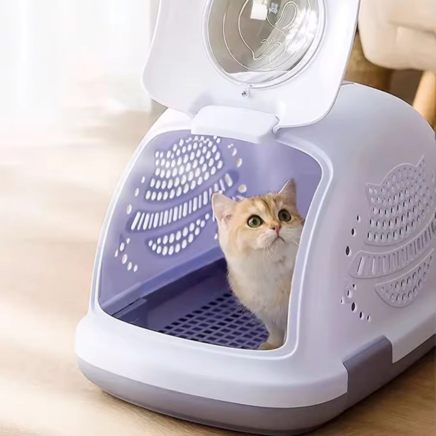 Pado Petpod Pet Carrier Purple - 52x35x33cm