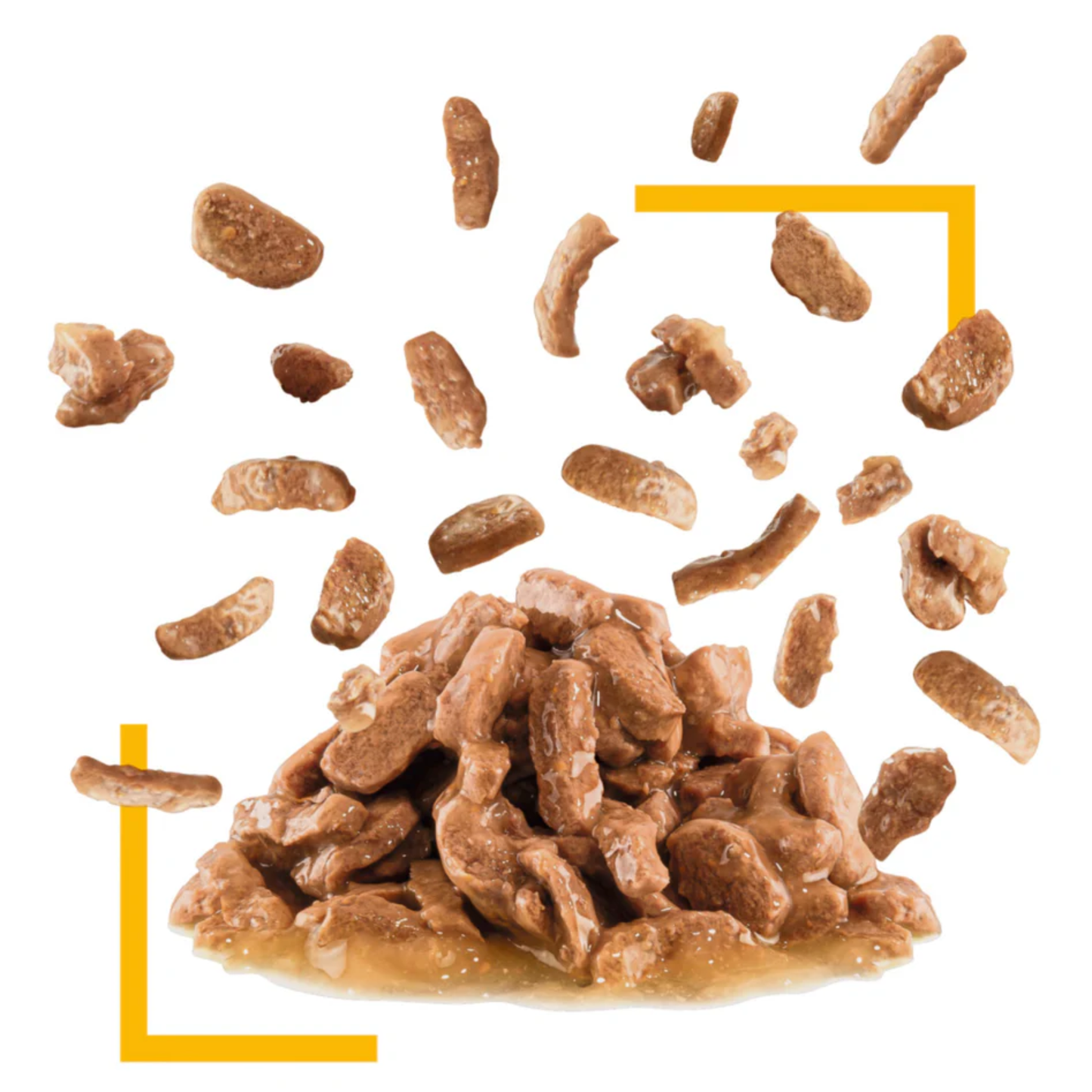 Royal Canin Feline Health Nutrition Sensory Taste Gravy Cat Wet Food - 12x85g