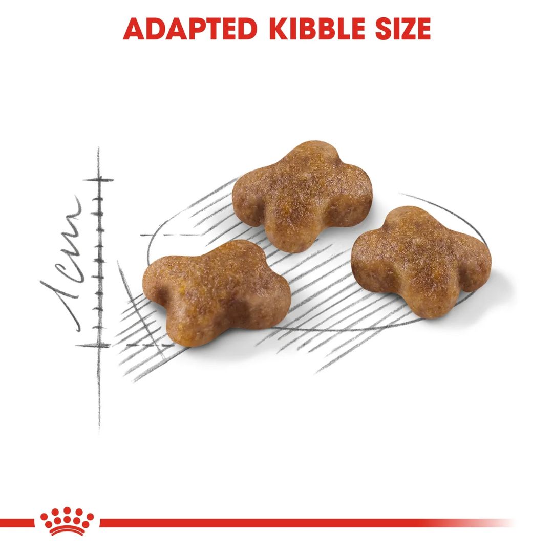 Royal Canin Feline Health Kitten Dry food 10kg