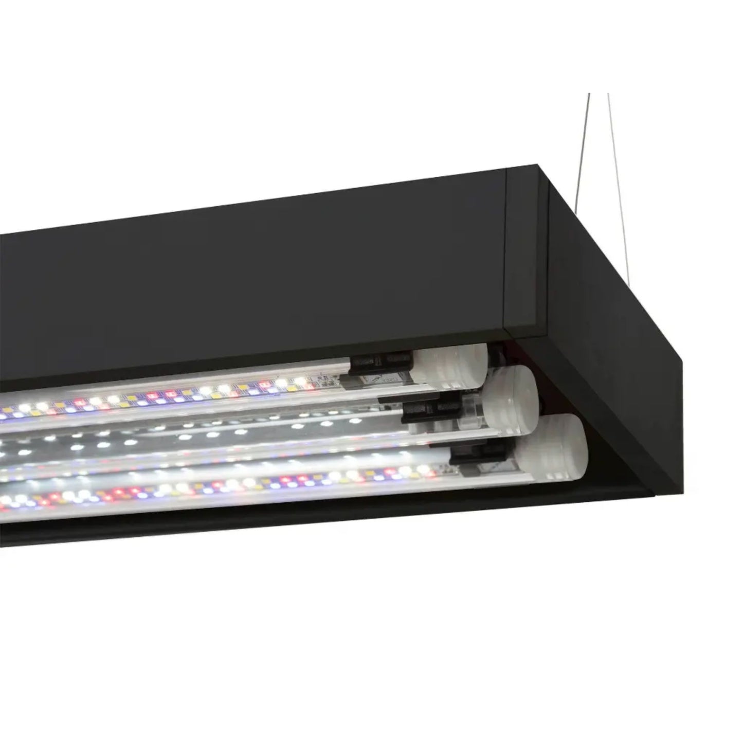 Black rectangular light fixture with multiple LED lights on a white background