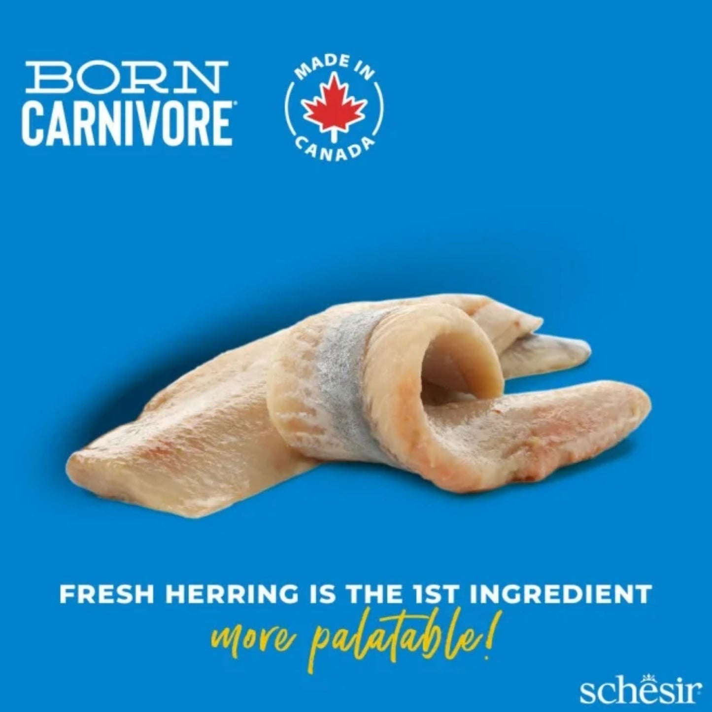 Schesir Born Carnivore Herring & Salmon Dry cat food 1.25kg