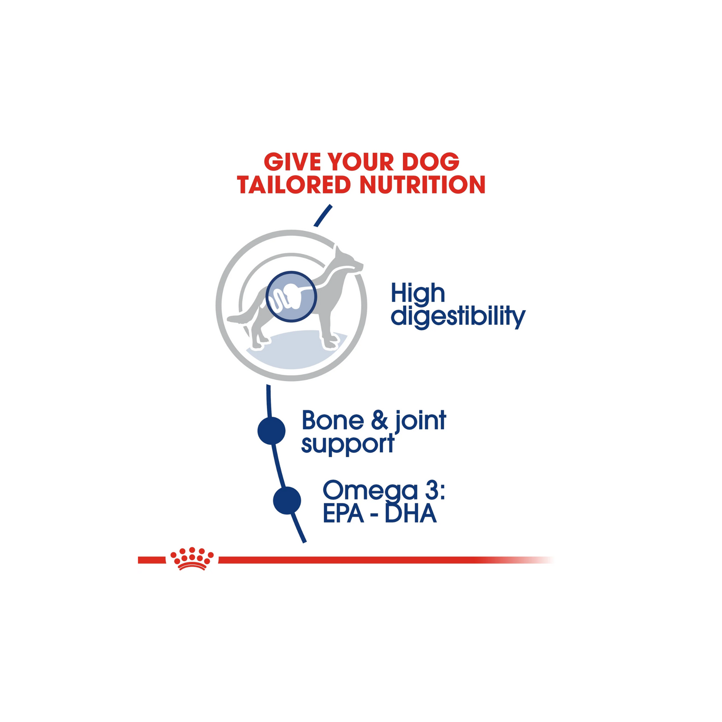 Royal Canin Size Health Maxi Adult Dry Dog food 4kg