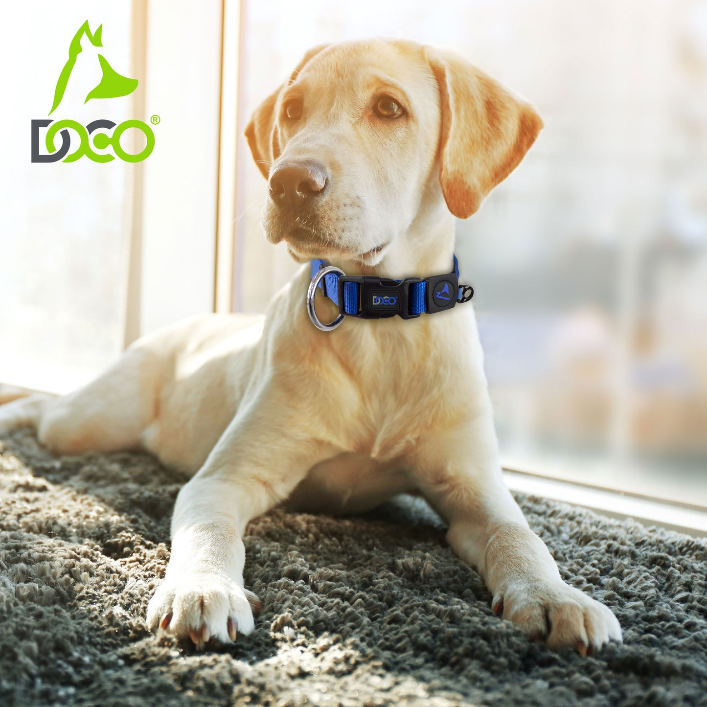 Doco Signature O-Ring Nylon Dog Collar – Durable Dog Accessory