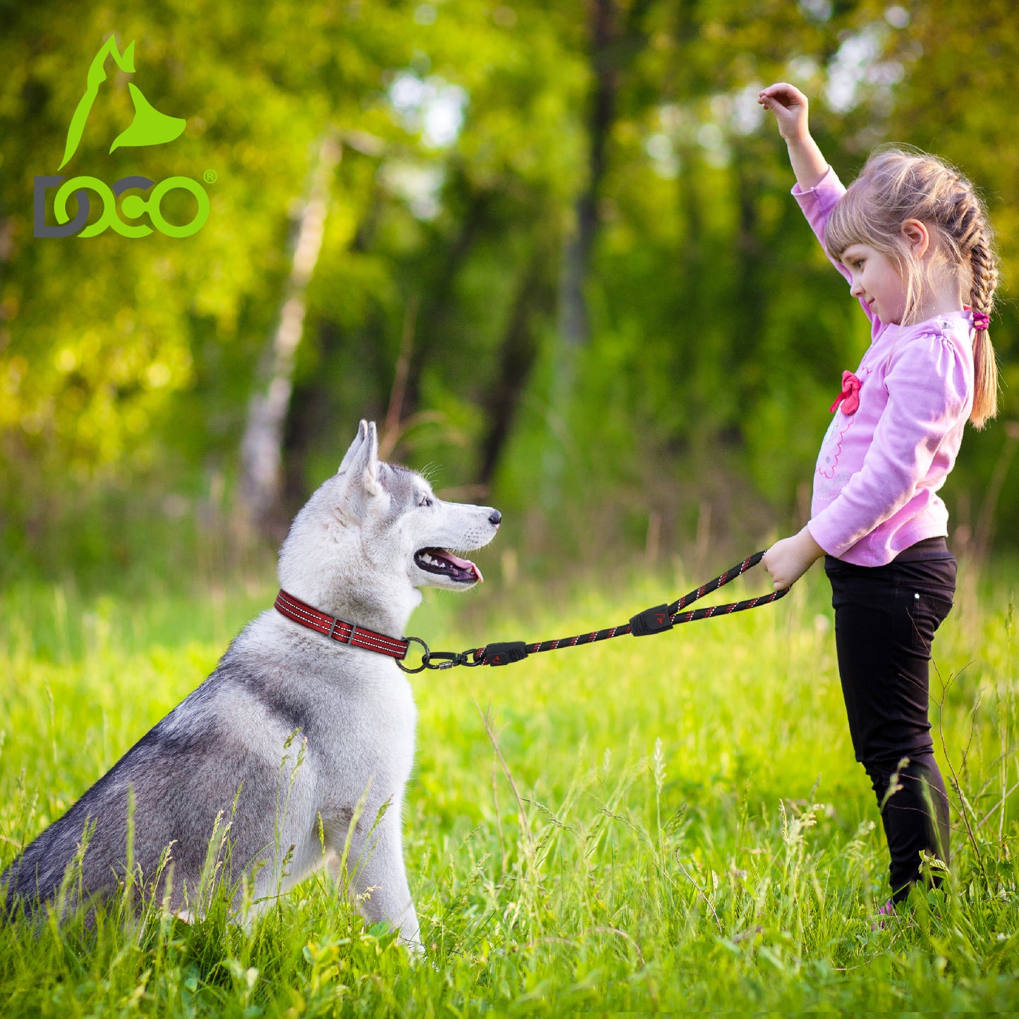 Doco Reflective Traffic Rope Dog Leash 20” Large