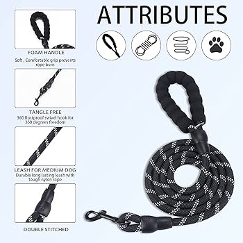 Doco Diamante Leash With Handle 4Ft (Dpn1048) - 2.5 X 120Cmcolor: Black, Sizes: L